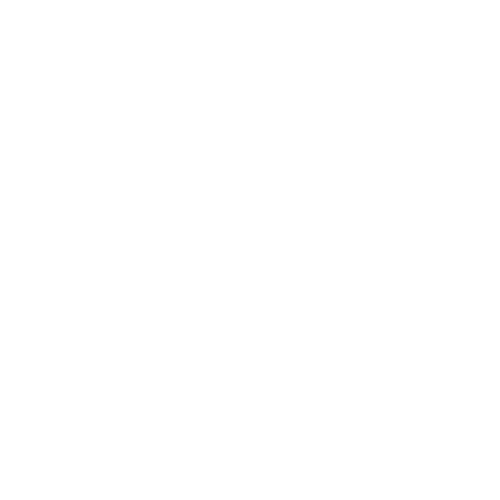 STS-white-icon